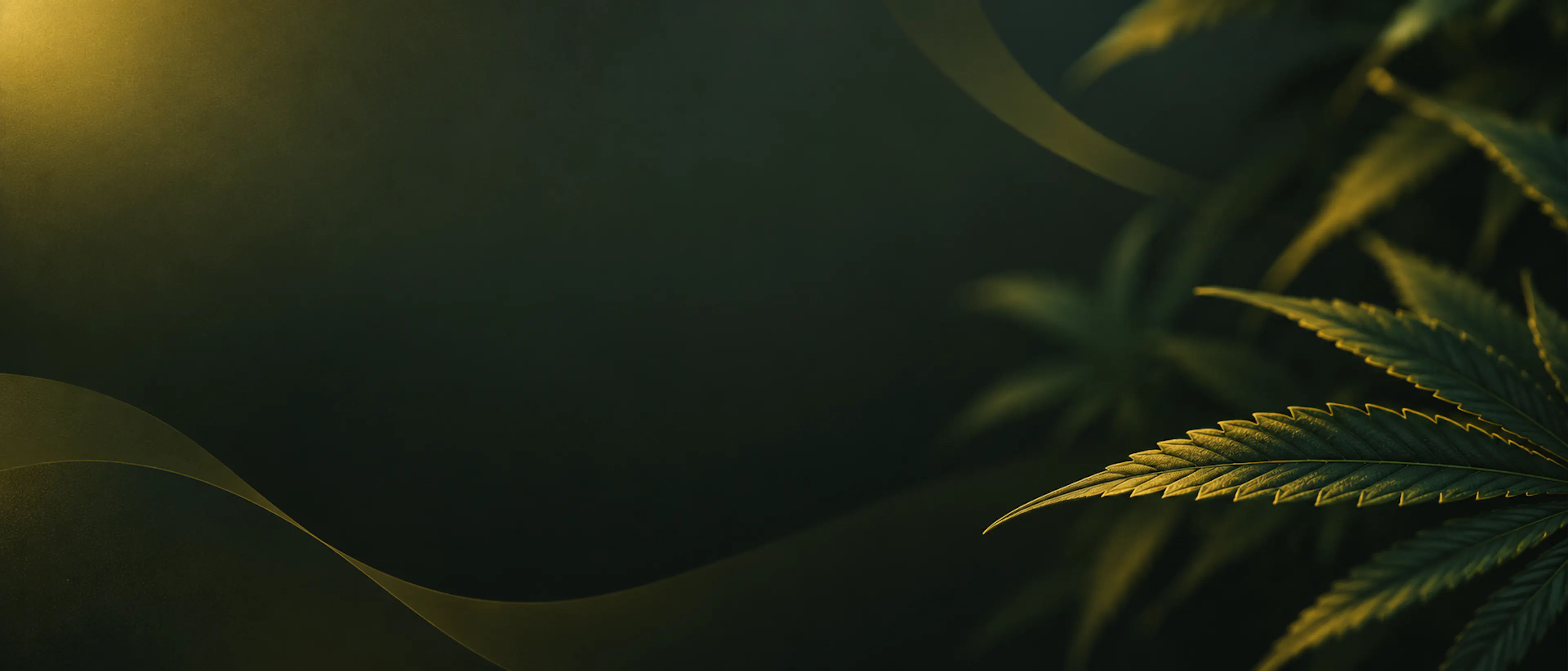 Moody Golden-Rimmed Botanical Leaves