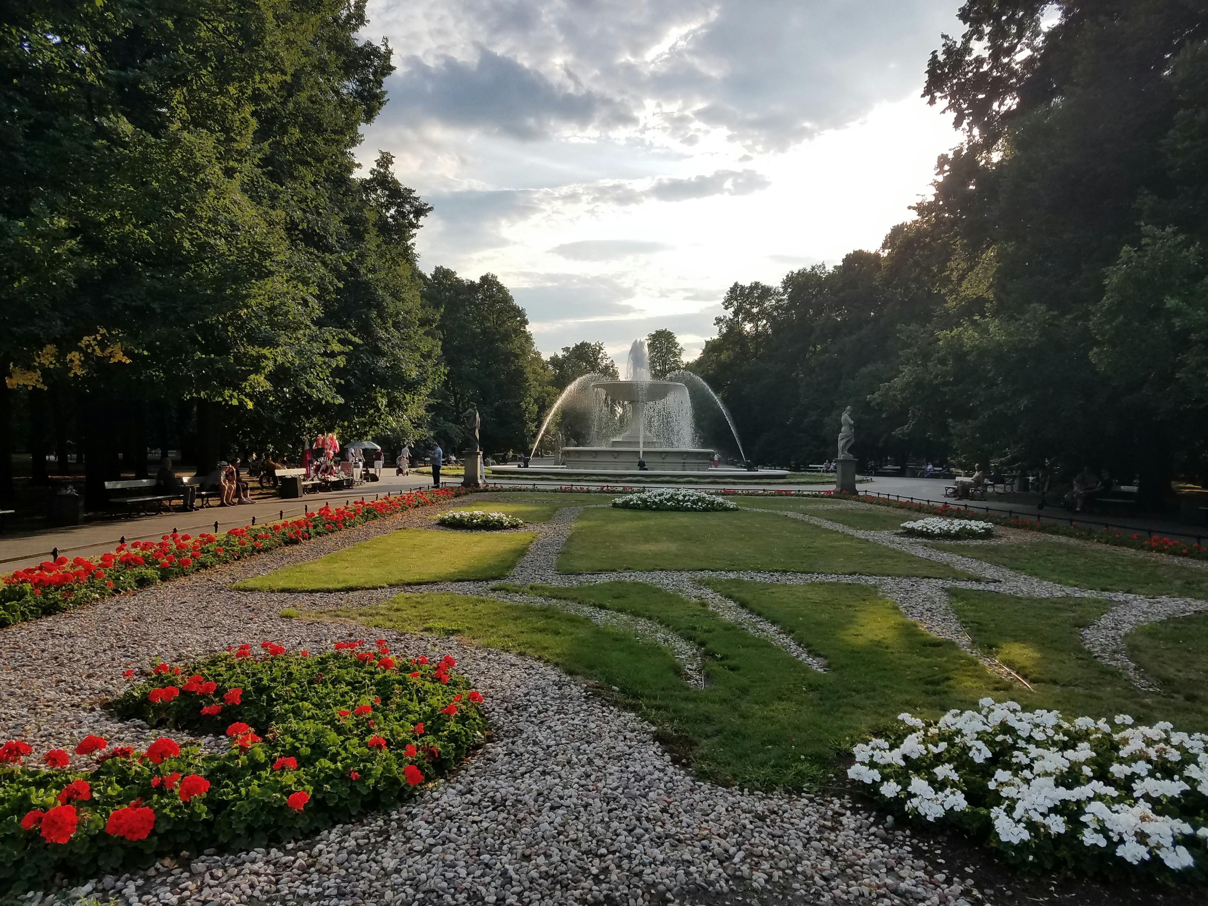 ogród saski biało czerwone kwiaty