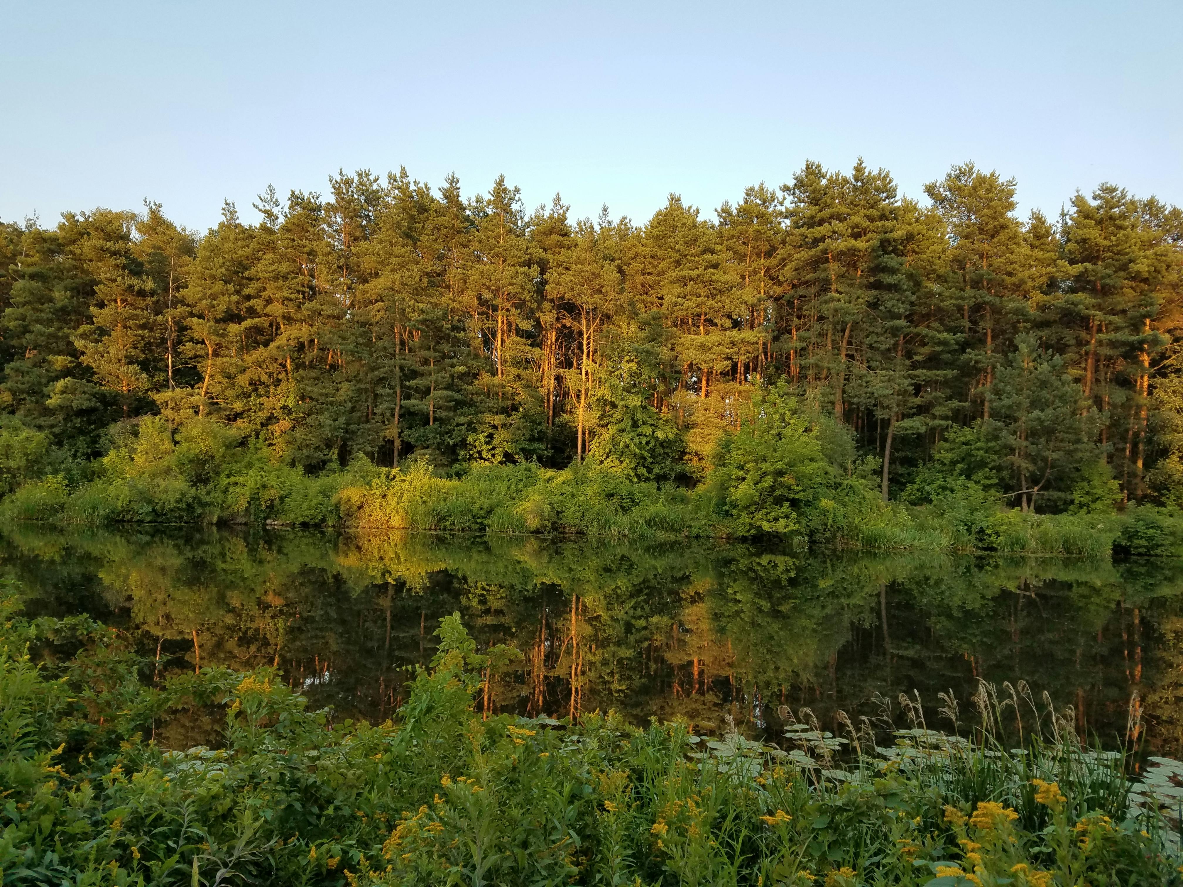 Wisła River along bike path to Zalew Zegrzynski