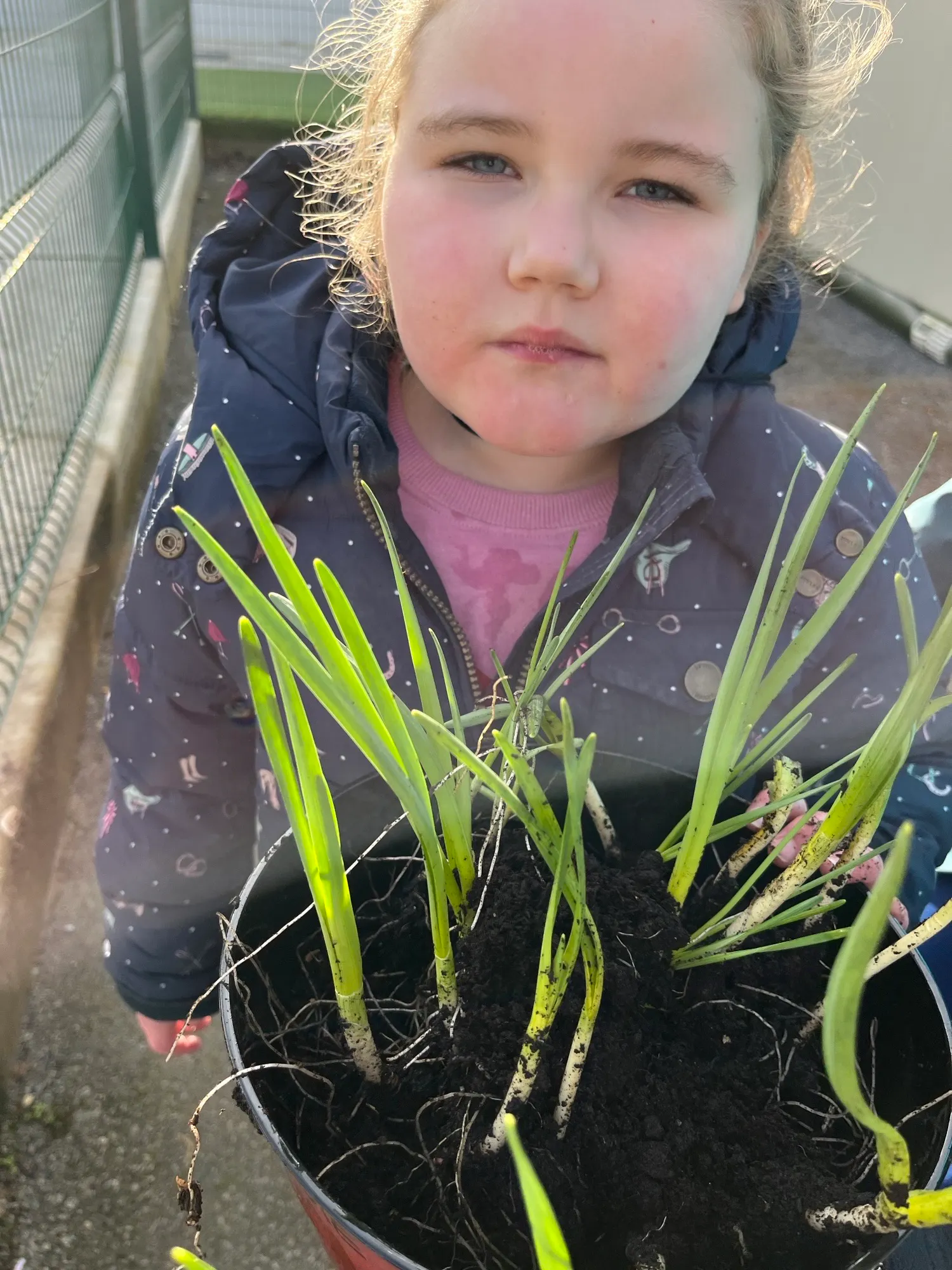 Spraoi class has been busy enjoying a fun and creative term! From flipping pancakes on Pancake Tuesday to celebrating  the Valentine’s Day Ball, there have been lots of memorable moments. We’ve been learning all about the signs of spring and brightening up our classroom with beautiful artwork. The celebrations continued with a wonderful St. Patrick’s Day sensory activity, and with the arrival of nicer weather, the pupils have loved spending more time outdoors exploring and playing together.