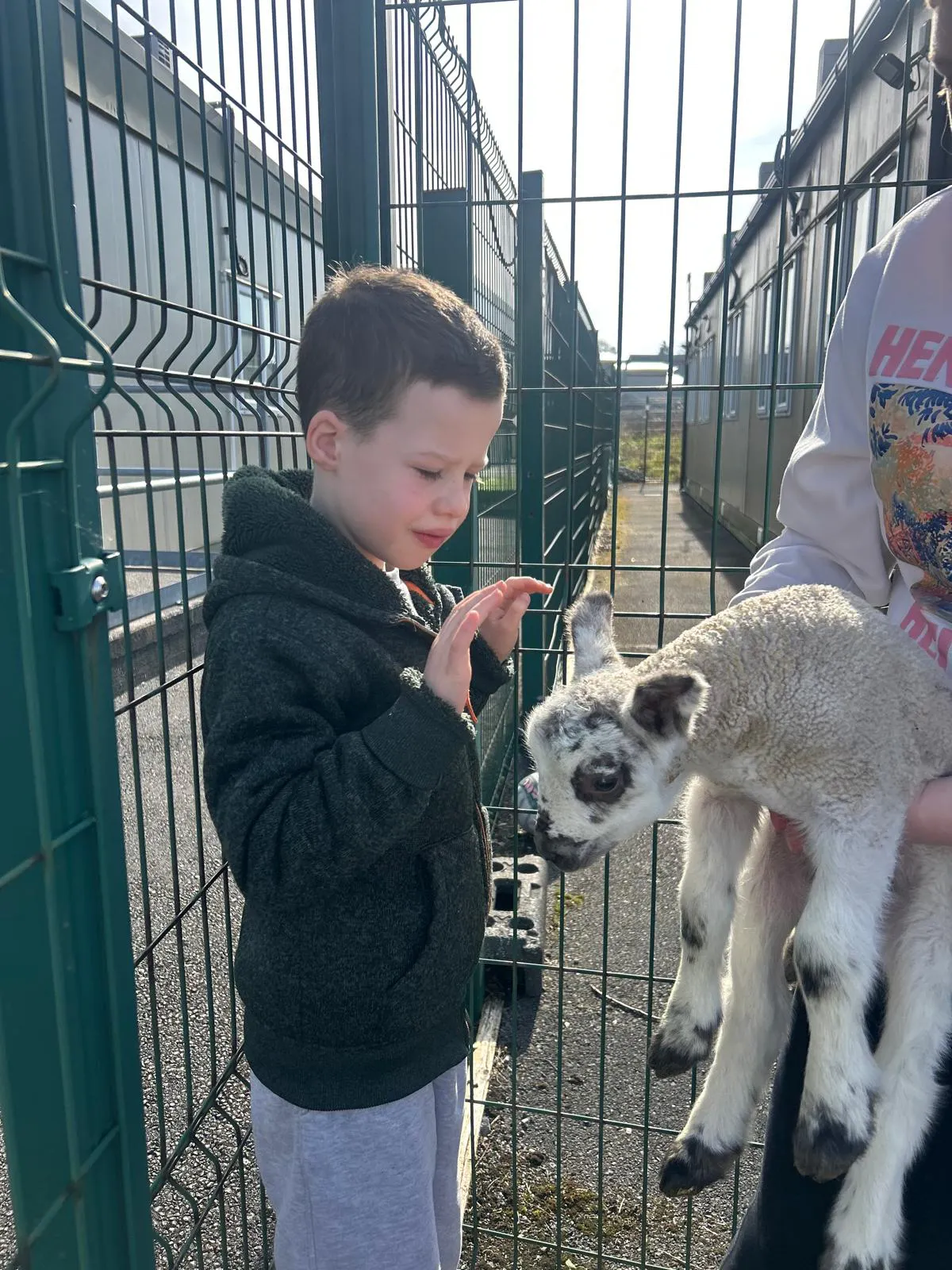 A Very Special Spring Visit to Rosedale
On Friday, 20th March, our school was filled with warmth and wonder as we welcomed two beautiful baby lambs, kindly brought in by Kathleen. This gentle and joyful experience offered our students a truly meaningful opportunity to connect with nature up close.
There were smiles, soft touches, and moments of calm as students engaged with the lambs-feeling their wool, holding them with support, and responding with curiosity and delight. The visit created a peaceful, sensory-rich atmosphere that sparked interest, encouraged interaction, and brought a sense of springtime magic into our school.
A heartfelt thank you to Kathleen for making this special experience possible-it was a day of connection, joy, and unforgettable moments for all.