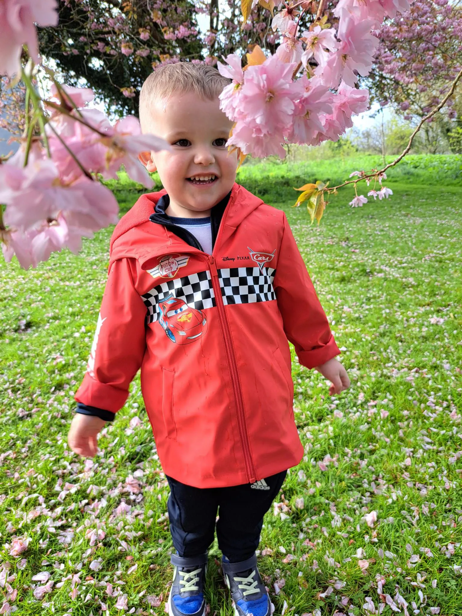 Spring has arrived in Fairlands 
Our wonderful children have been busy exploring the beauty of the season- feeling soft cherry blossoms, noticing signs of new life, enjoying spring walks, and sharing special moments together outdoors. From gentle petals dancing in the breeze to smiles, laughter and sensory discoveries