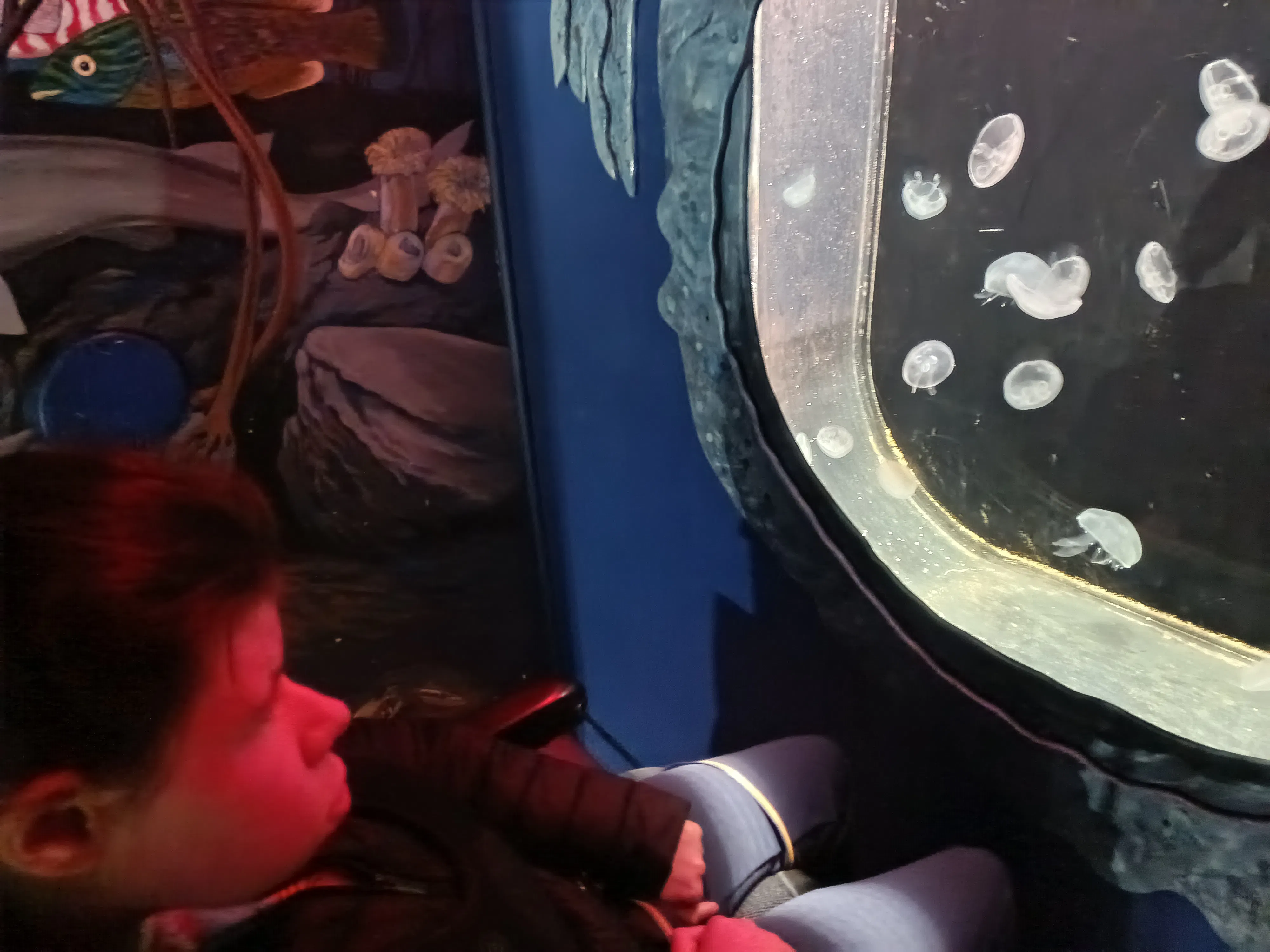 Pupils from Rainbows and Willows enjoyed wonderful adventures exploring the beauty and curiosity of the natural world through visits to the aquarium and the zoology museum.
From colourful sea creatures and fascinating animals to sensory experiences, nature walks and hands-on discovery, the children embraced every opportunity to learn, explore and connect with the world around them.
These outings supported learning across Science, Geography and sensory exploration while creating joyful shared experiences, encouraging curiosity, communication and engagement.
There was great excitement, wonder and plenty of smiles along the way as pupils immersed themselves in nature, wildlife and new experiences together.