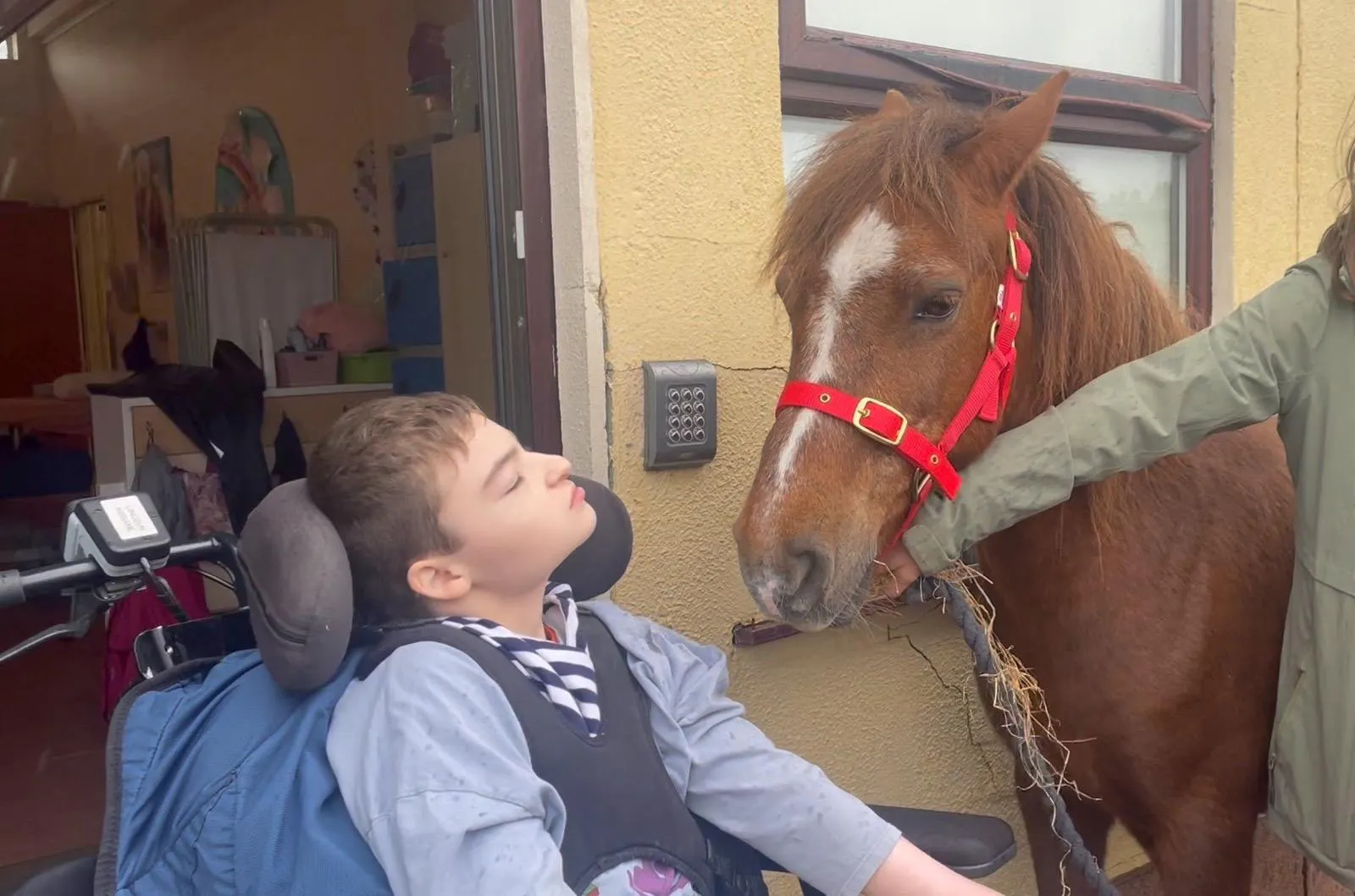 The children in Fairlands and Rosedale enjoyed a truly magical surprise as we welcomed a very special visitor - a beautiful horse named Bramble from Feeney’s Equestrian Centre.
A huge thank you to our teacher Paula for bringing Bramble to visit the school and creating such a joyful and memorable experience for our students. The children loved meeting Bramble up close, feeling his soft coat, listening to his gentle sounds, and sharing in the calm and happiness he brought to our day