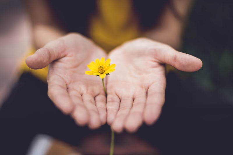 Small yellow flower between two hands.
