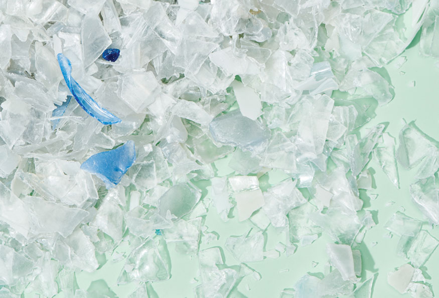 Eco Alert: Plastic Water Bottles – Rothy's