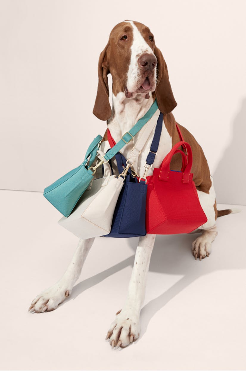 The Mini Handbag in Juniper Green, The Mini Handbag in Sea Salt, The Mini Handbag in Royal Blue and The Mini Handbag in Candy Apple shown on a dog.