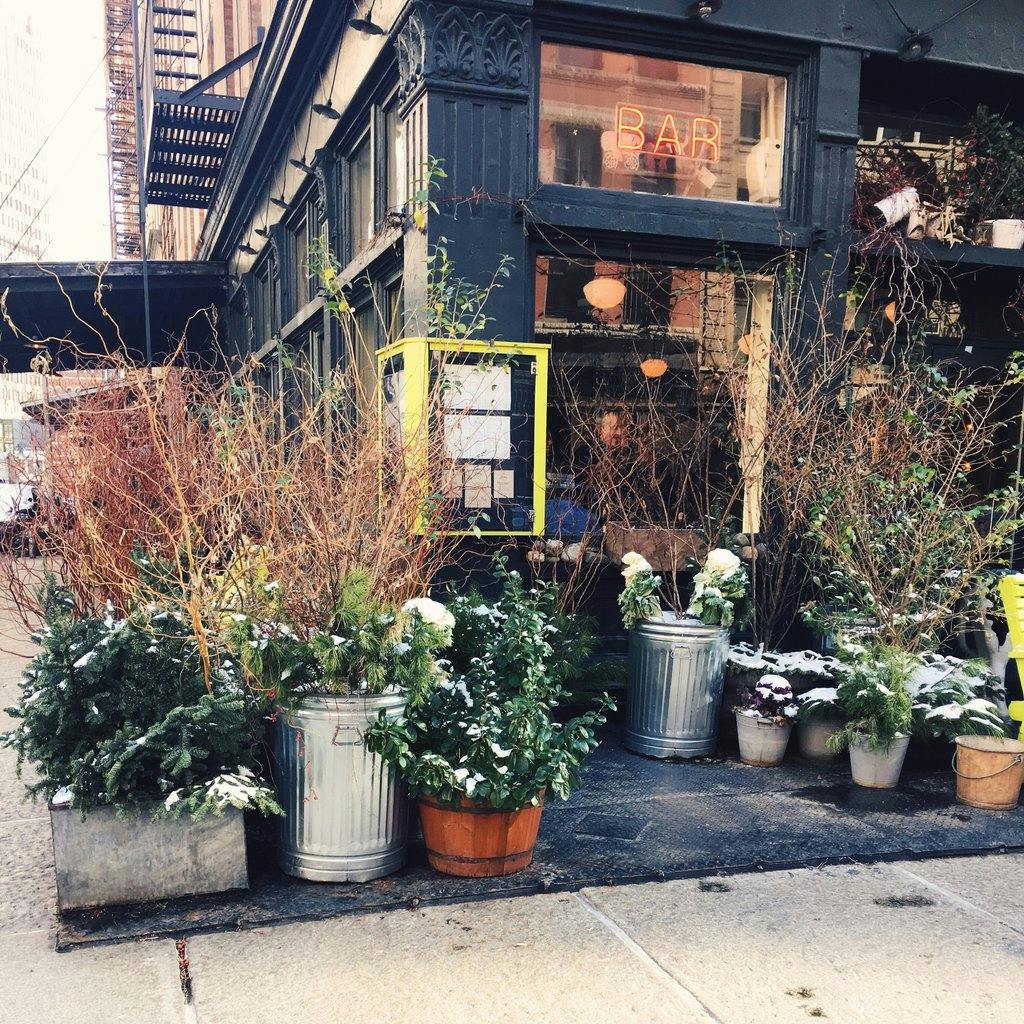 Plant-filled storefront of a Tribeca café.
