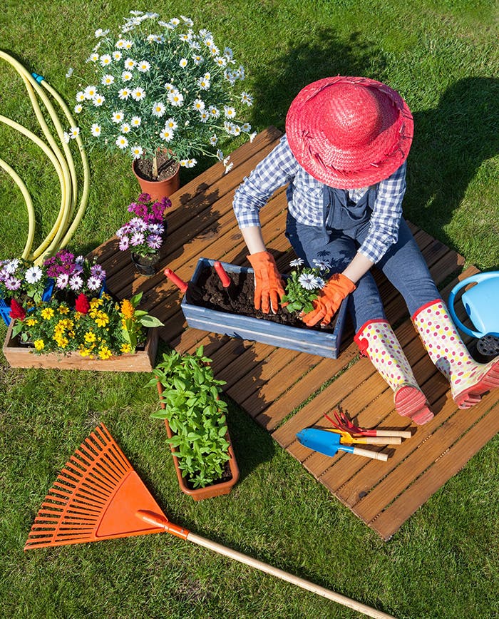 Conseils de jardinage : comment bien attaquer le printemps ?