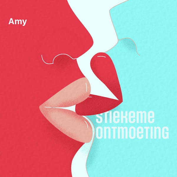 Cover art for: Stiekeme ontmoeting