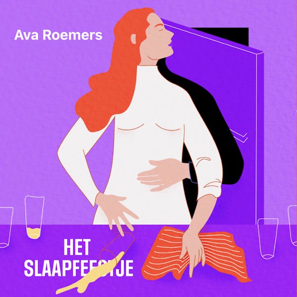 Cover art for: Het slaapfeestje