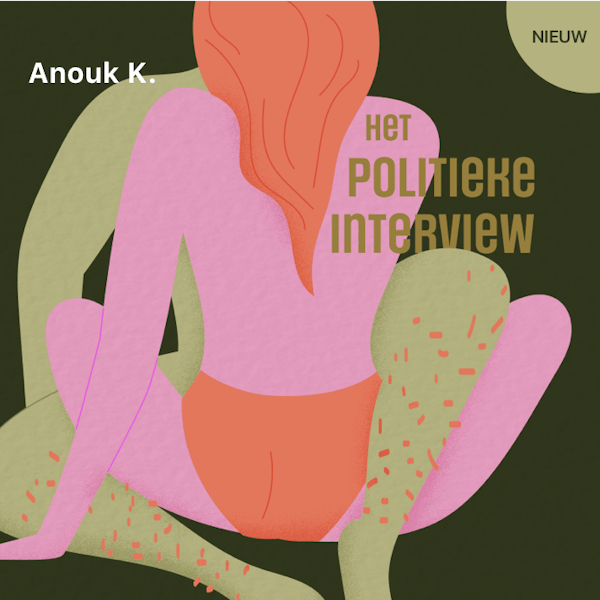 Cover art for: Het politieke interview