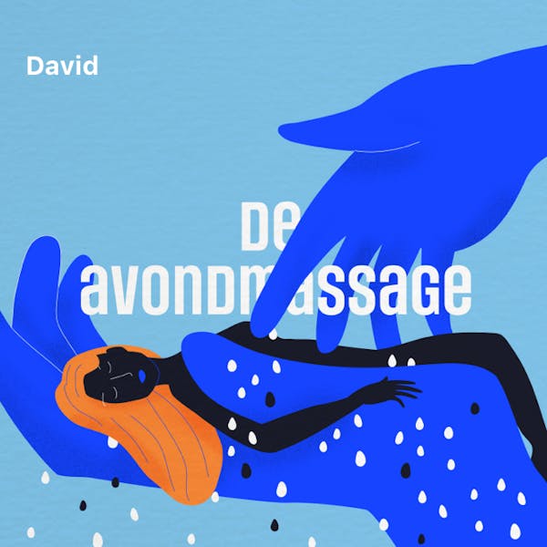 Cover art for: De avondmassage