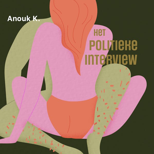 Cover art for: Het politieke interview