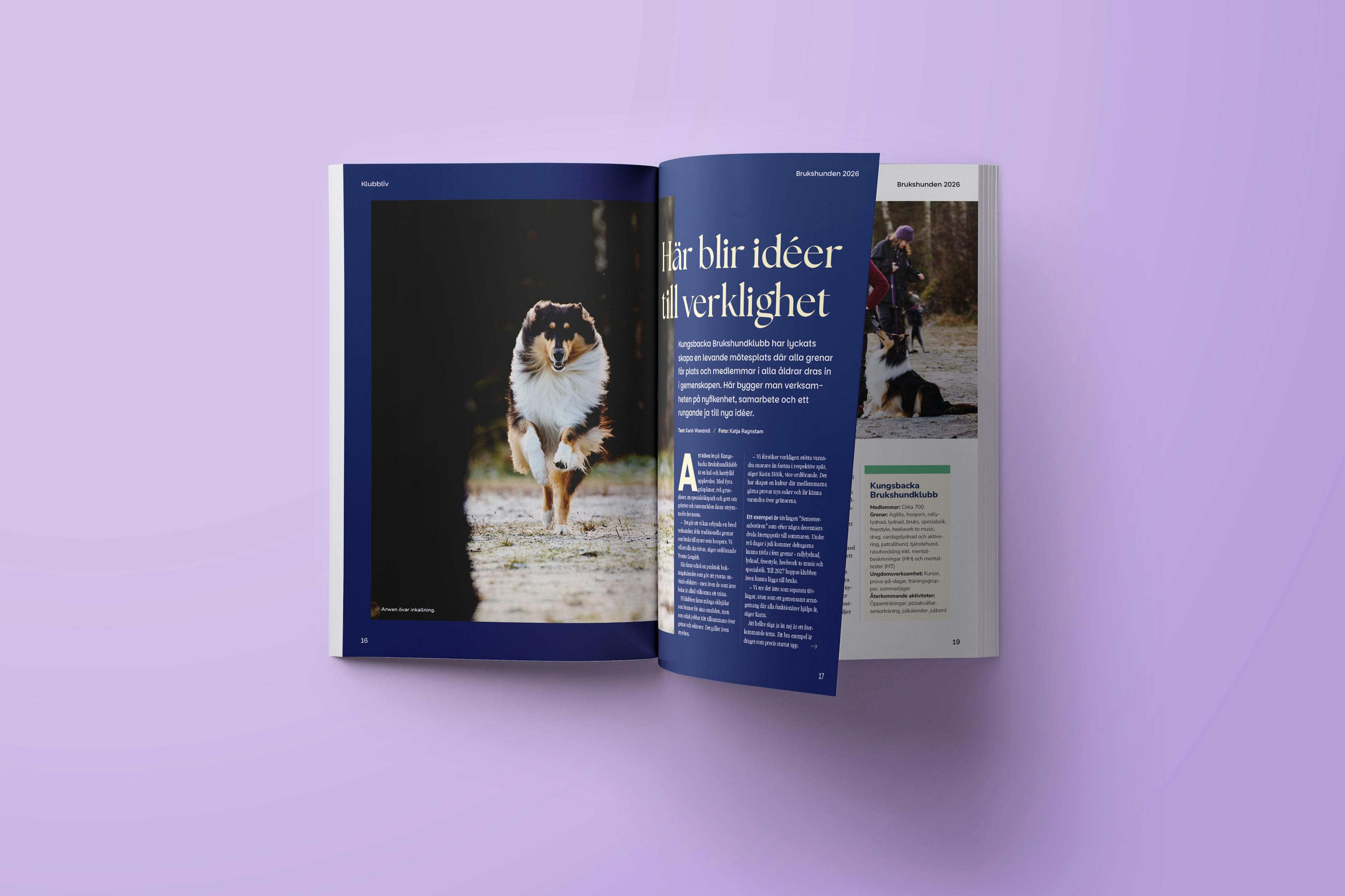 Brukshunden specialutgåva, blå artikelsida på lila bakrund