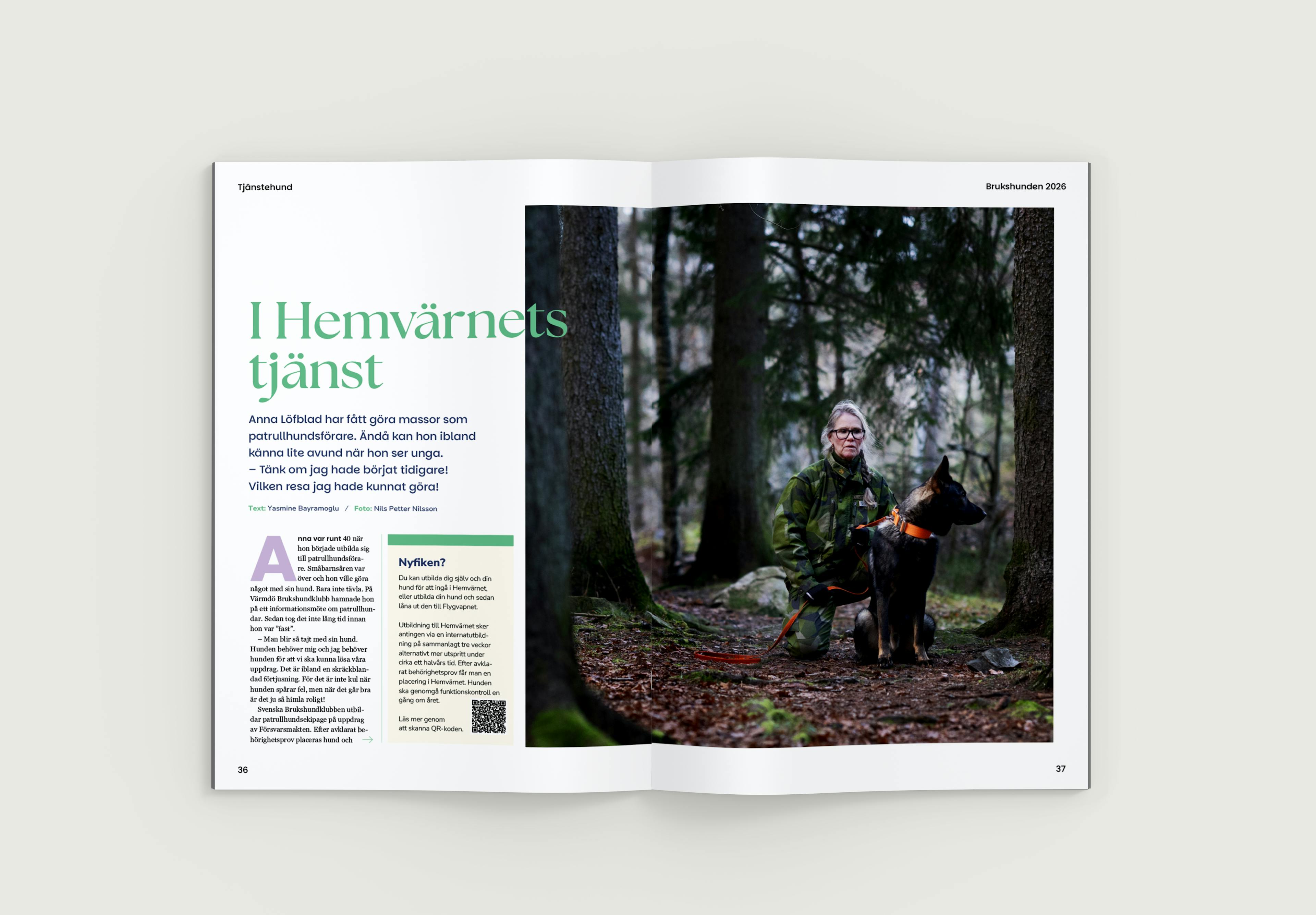 Brukshunden specialutgåva, artikelsida "I hemvärnets tjänst"