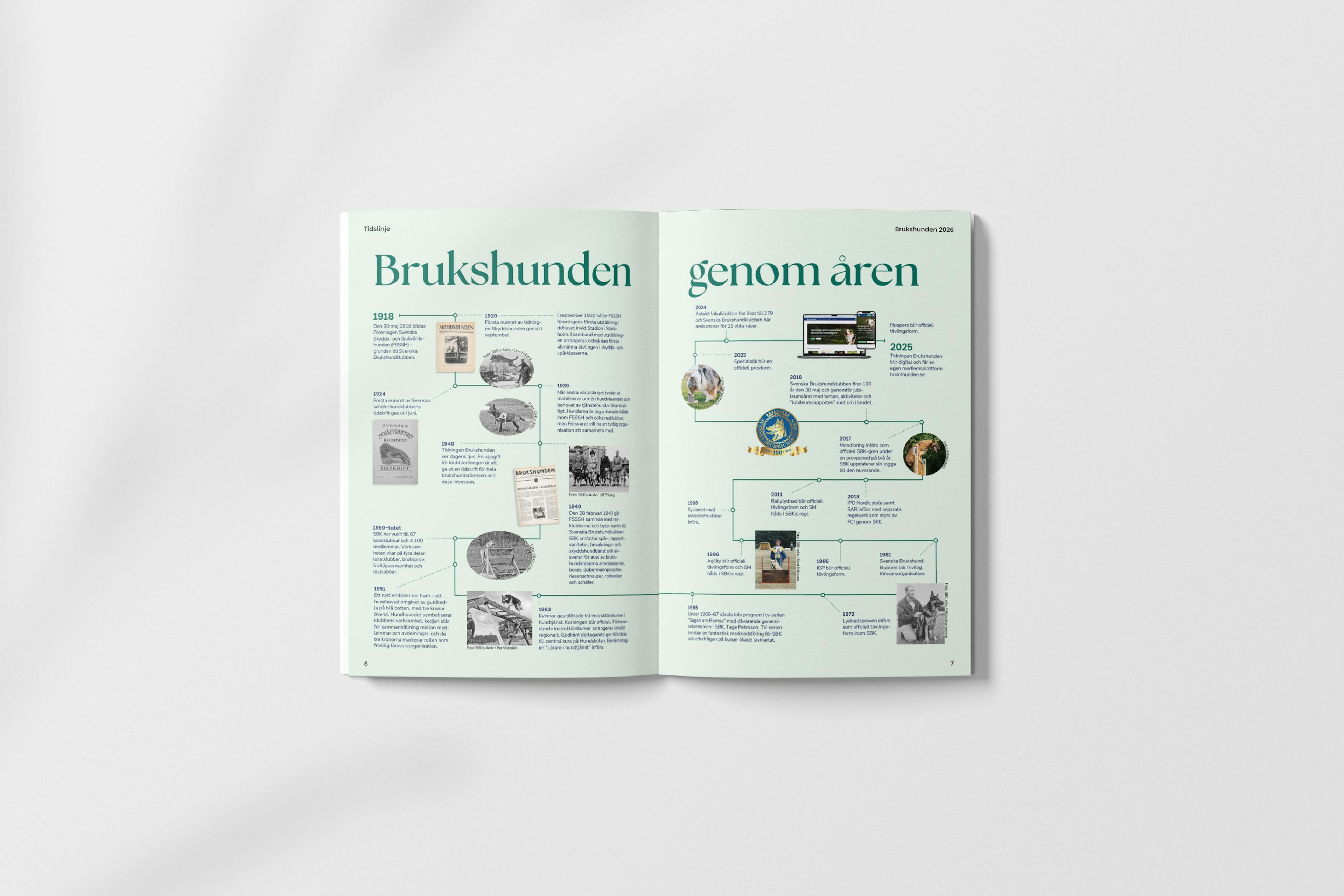 Brukshunden specialutgåva, sida med brukshunden genom åren tidslinje