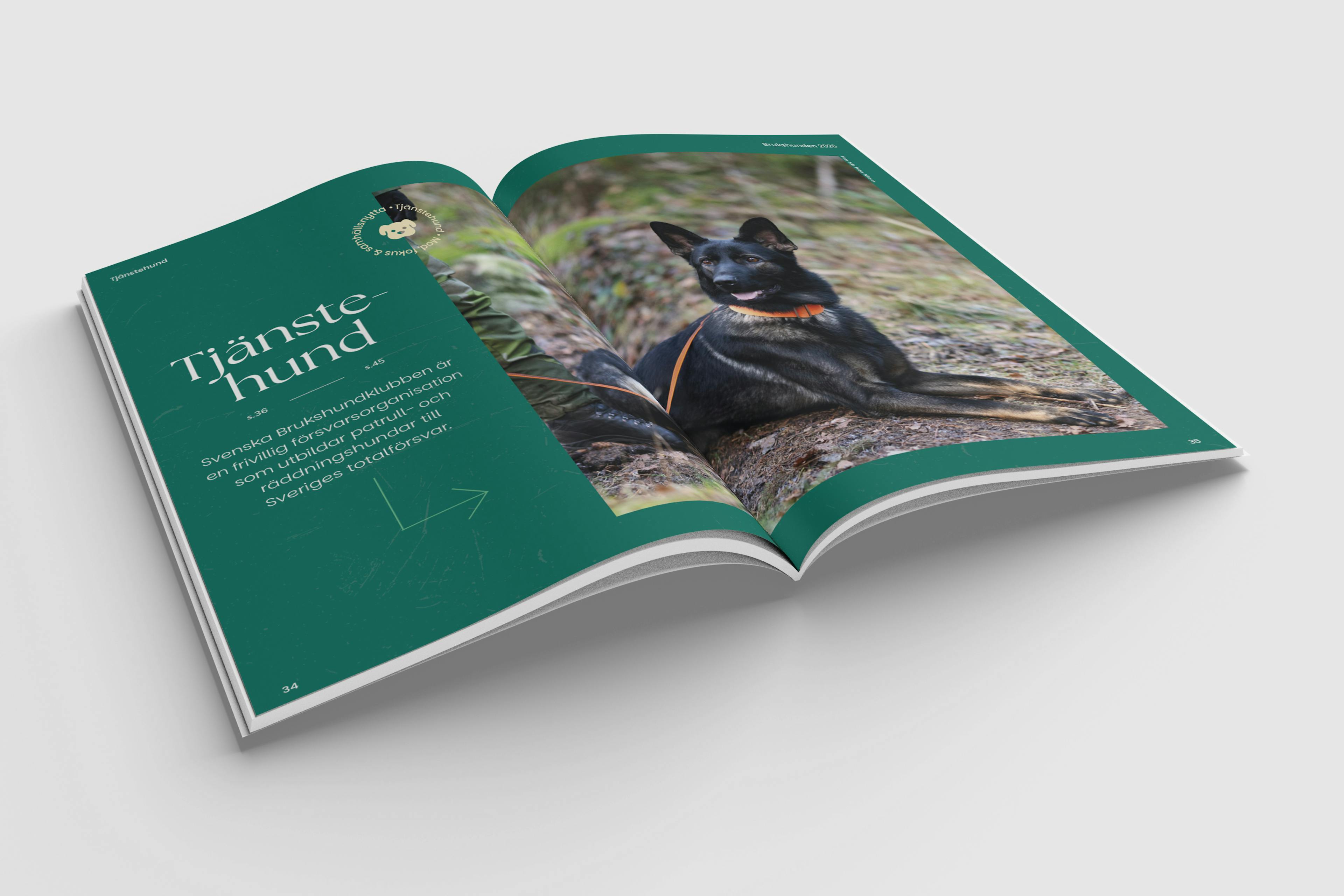 Brukshunden specialutgåva, sida med tjänstehund