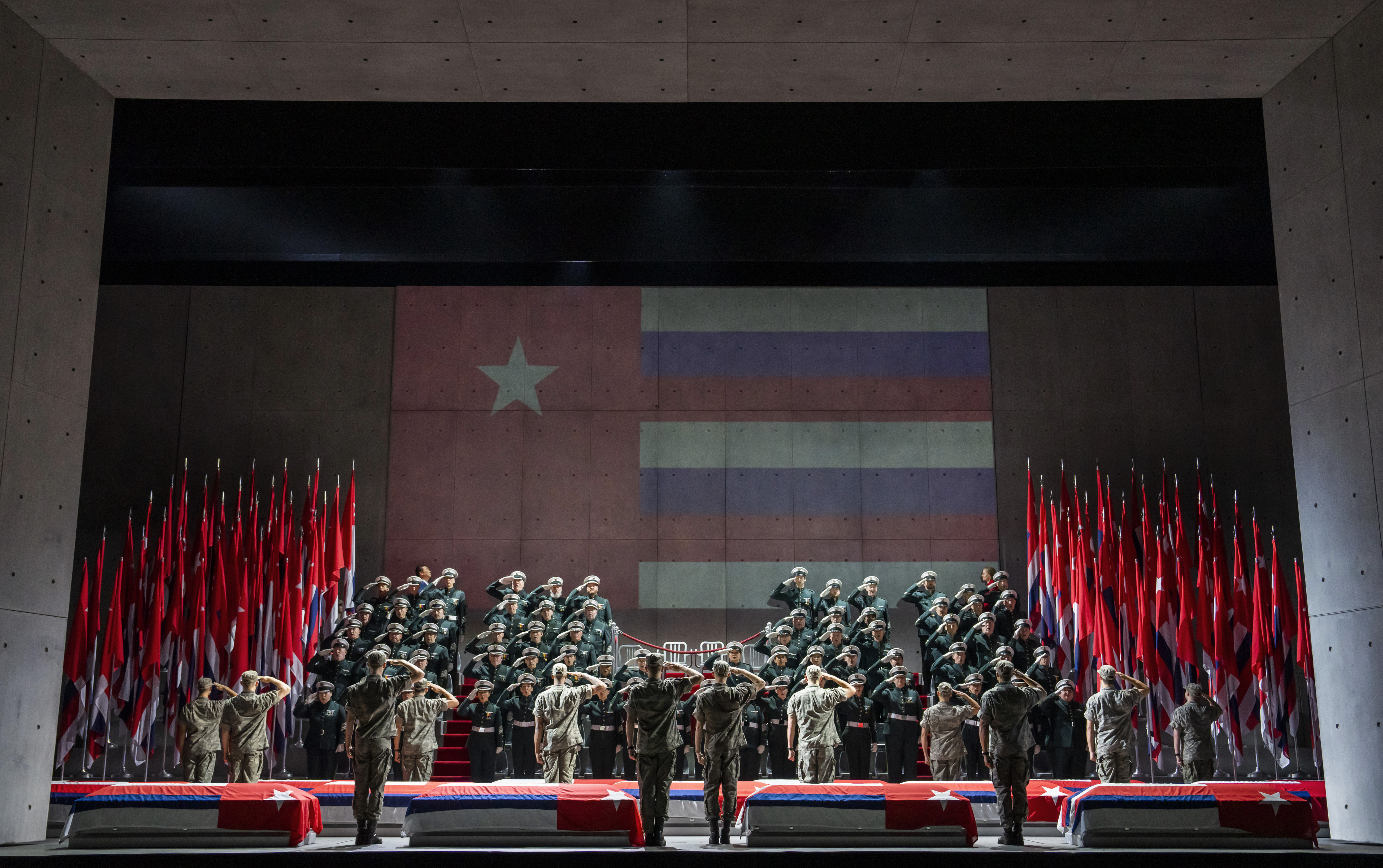 Large group of soldiers with their backs facing the camera saluting a flag that hangs at the back of the stage. 