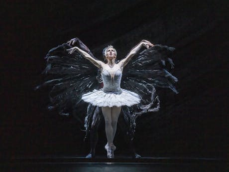 Ballet dancer Mayara Magri performs on a darkened stage at the Royal Opera House. Mayara is dancing as the White Swan in a bright white tutu with feathers. She is standing on pointe with her arms raised, as dancers in the background dressed in black raise their arms. 