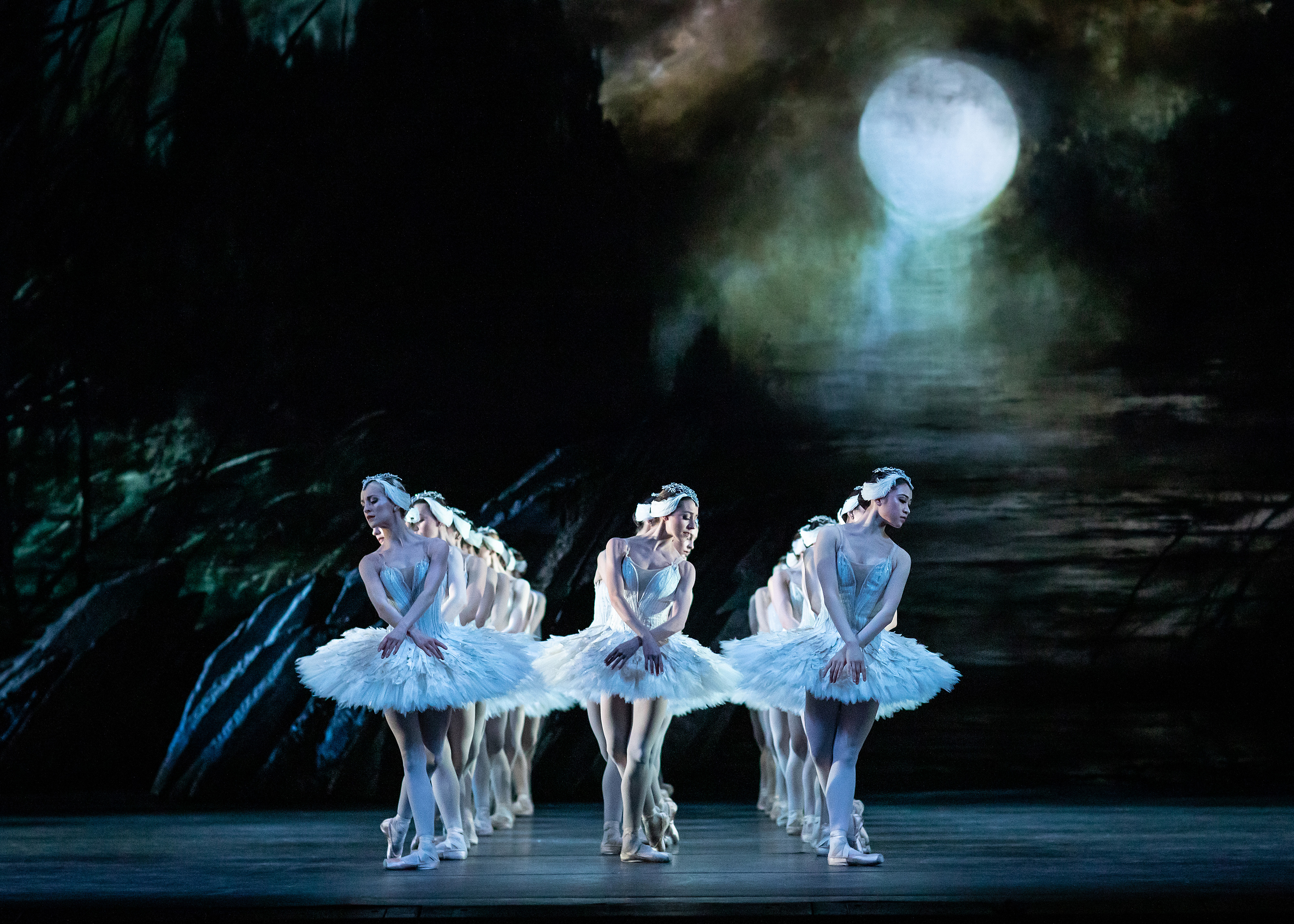 A group of Royal Ballet artists dance onstage in white tutus in a performance of Swan Lake.
