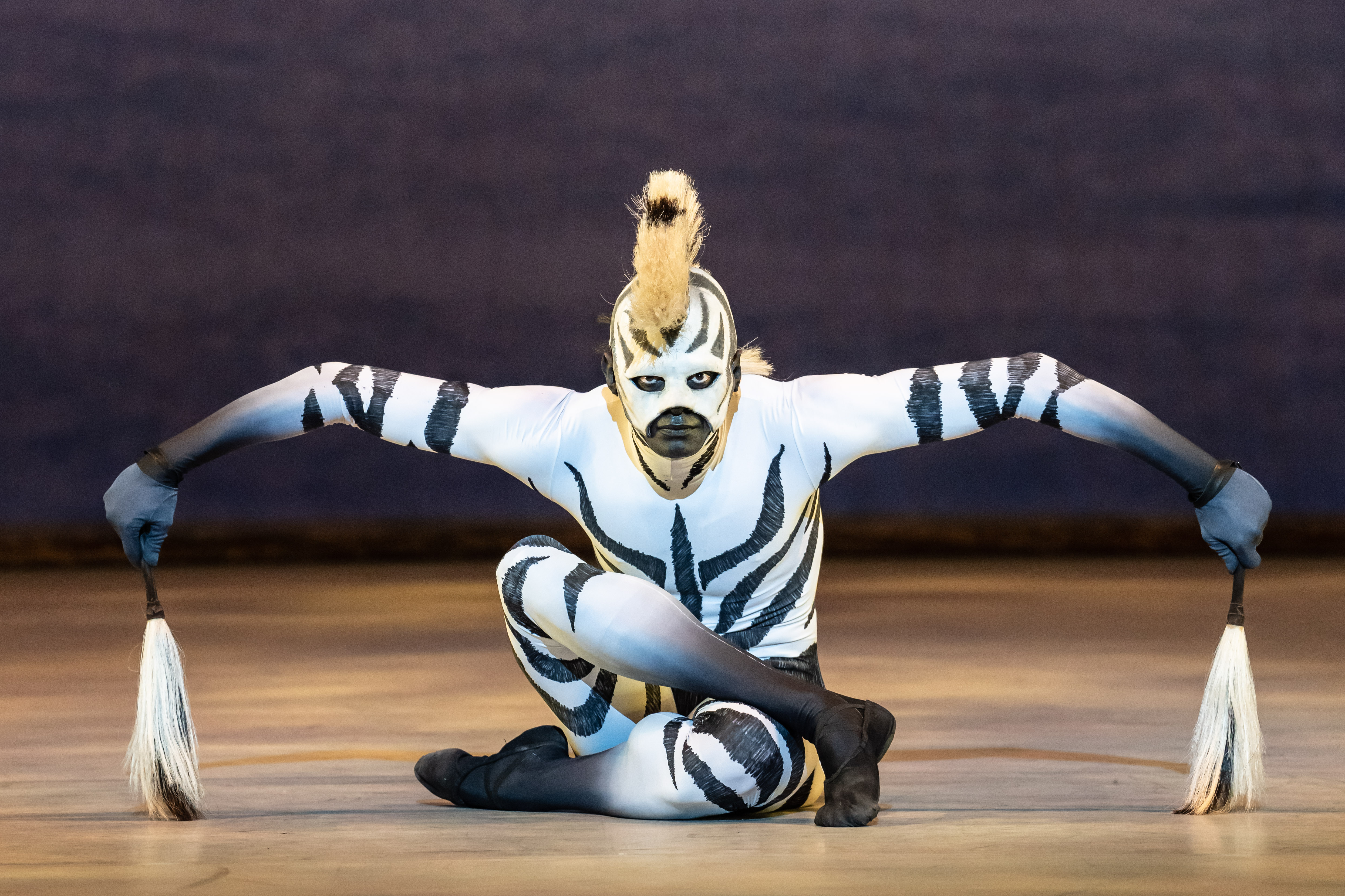 Brandon Lawrence as the Southern Cape Zebra  © Johan Persson. (9 of 11)