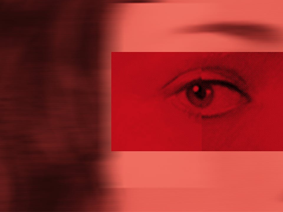 The top right hand side of a persons face