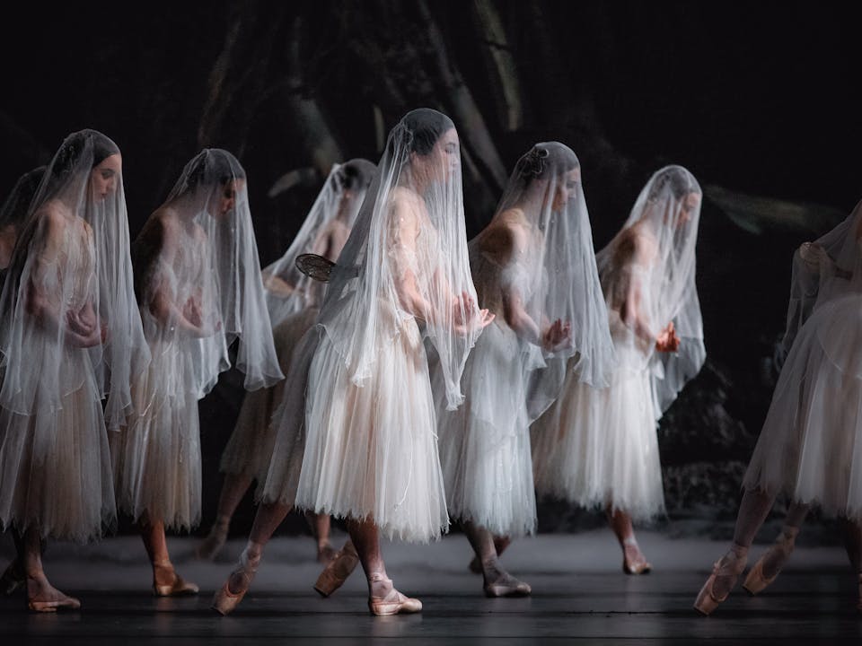 Nine ballet dancers stand on stage. They are all wearing the same white lace dress, pink pointe slippers, and a white translucent veil that is draped over their heads giving them ghostly appearances. They also have small translucent jeweled wings on their backs. They all hold their arms in front of them, their hands crossing over their wrists. They are Artists of The Royal Ballet performing in Giselle.