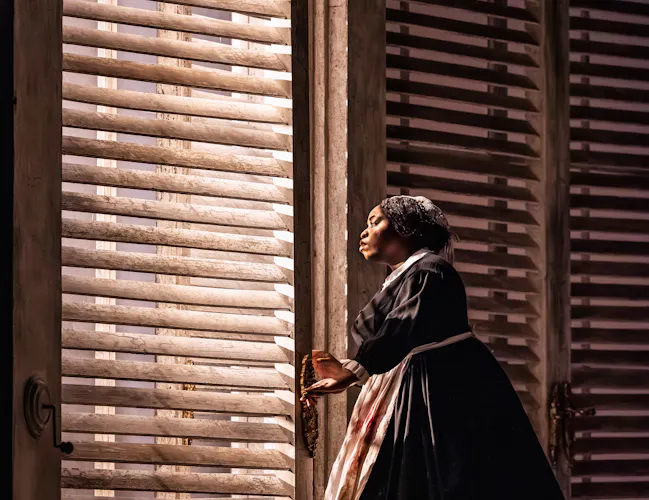 A woman in a black dress looks out through a slatted window.