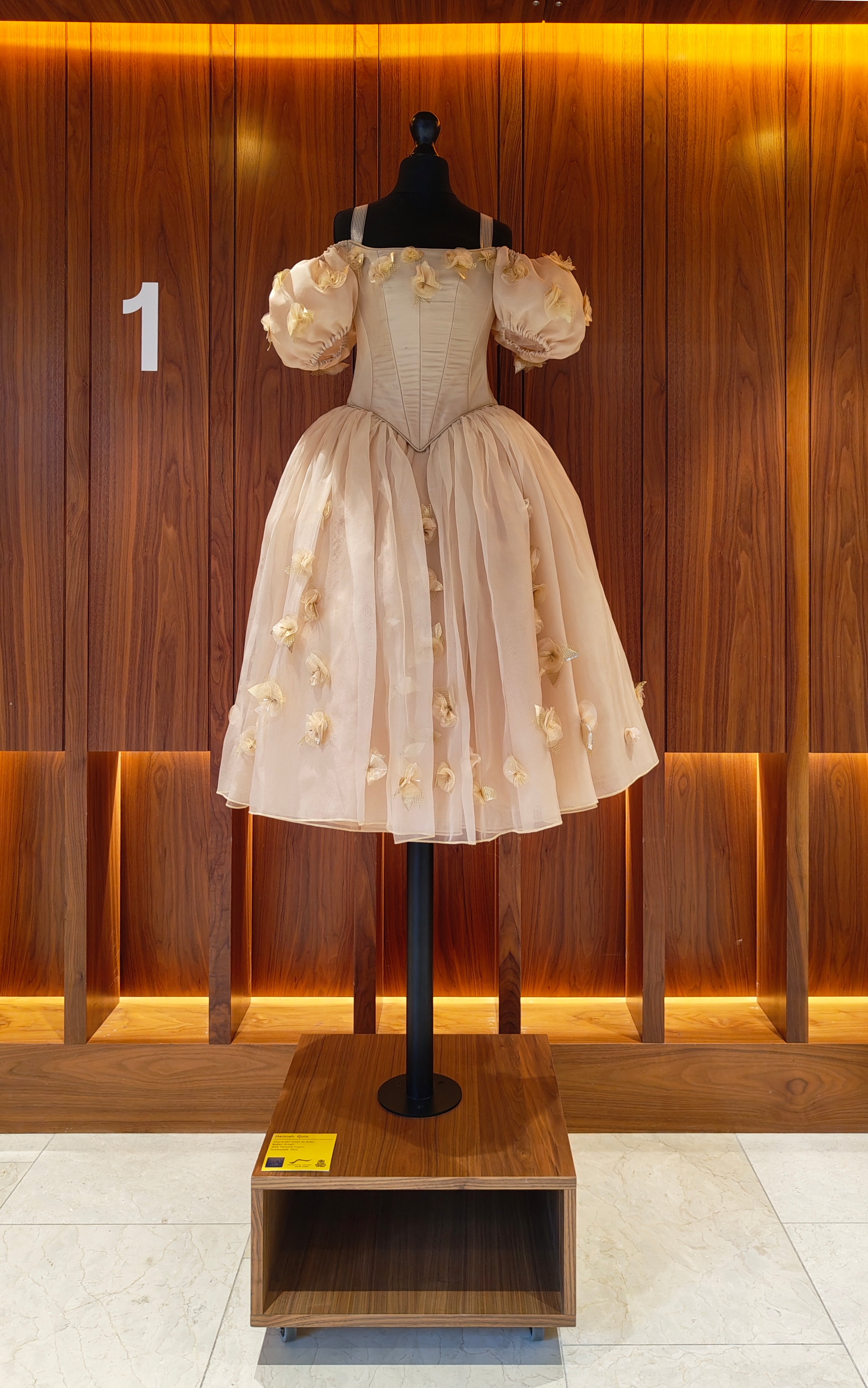 A mannequin displays an off-the-shoulder, knee-length, pale pink dress with puffed sleeves and floral appliqués, set against a wooden wall with the number 1 and warm lighting.