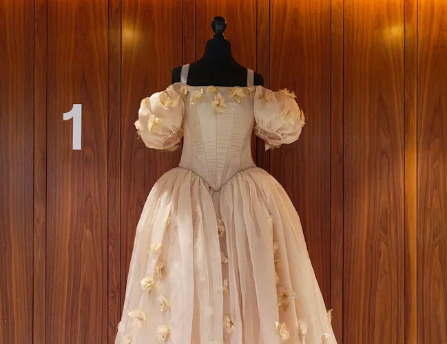 A mannequin displays an off-the-shoulder, knee-length, pale pink dress with puffed sleeves and floral appliqués, set against a wooden wall with the number 1 and warm lighting.