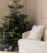 Julgranar