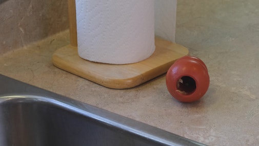 A Quick Clean for Chew Toys