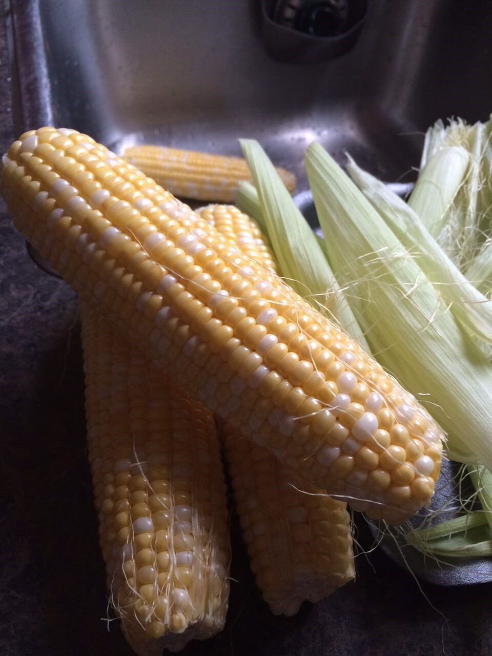 De surprenants épis de maïs