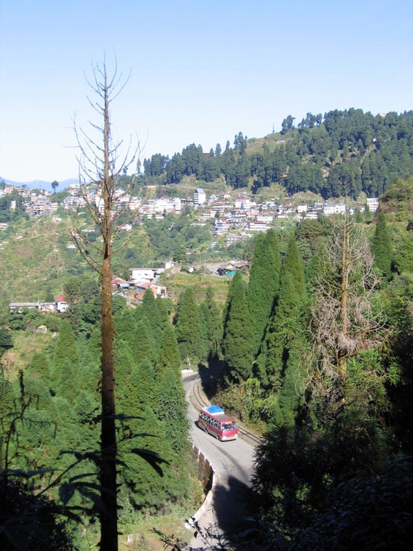 Nature's Serenade: The picturesque charm of Jorebunglow and Ghoom unfolds along the scenic Senchal Road. A tranquil mountain retreat surrounded by lush green pine trees, inviting you to embrace the beauty of nature and embark on a serene journey of discovery.