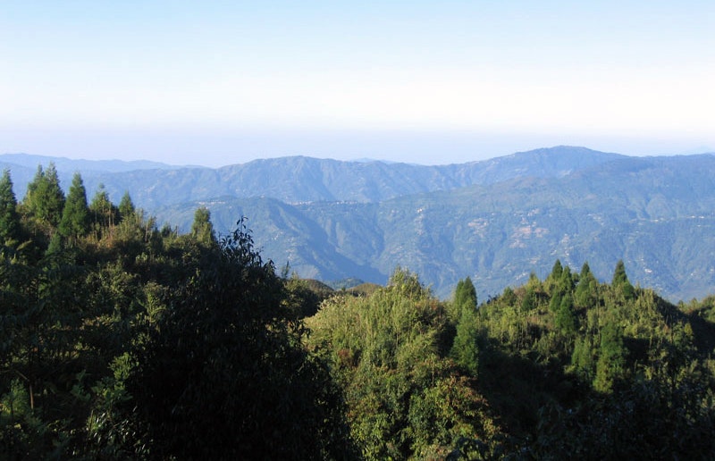 Nature's Grandeur Unveiled: Behold the breathtaking vista from Tiger Hill, where lush green mountains stretch as far as the eye can see. The foreground adorned with verdant trees creates a picturesque frame, inviting you to immerse yourself in the beauty of nature's vast canvas.