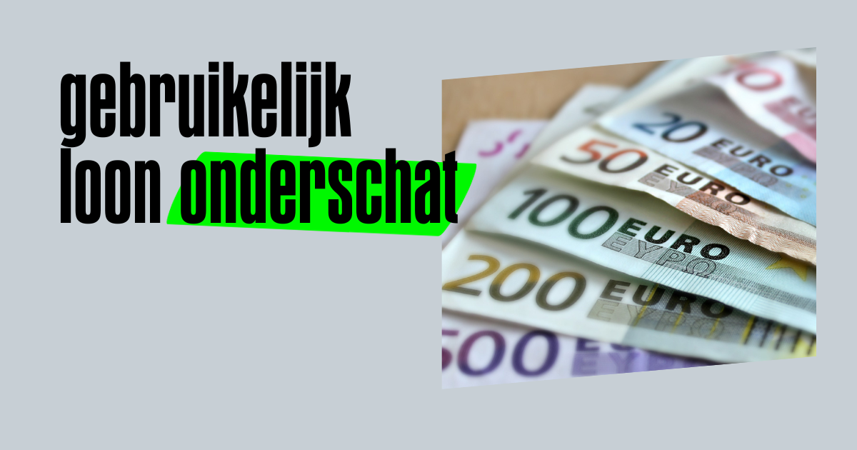 Gebruikelijk loon DGA Wat je moet weten over salaris in lijn met