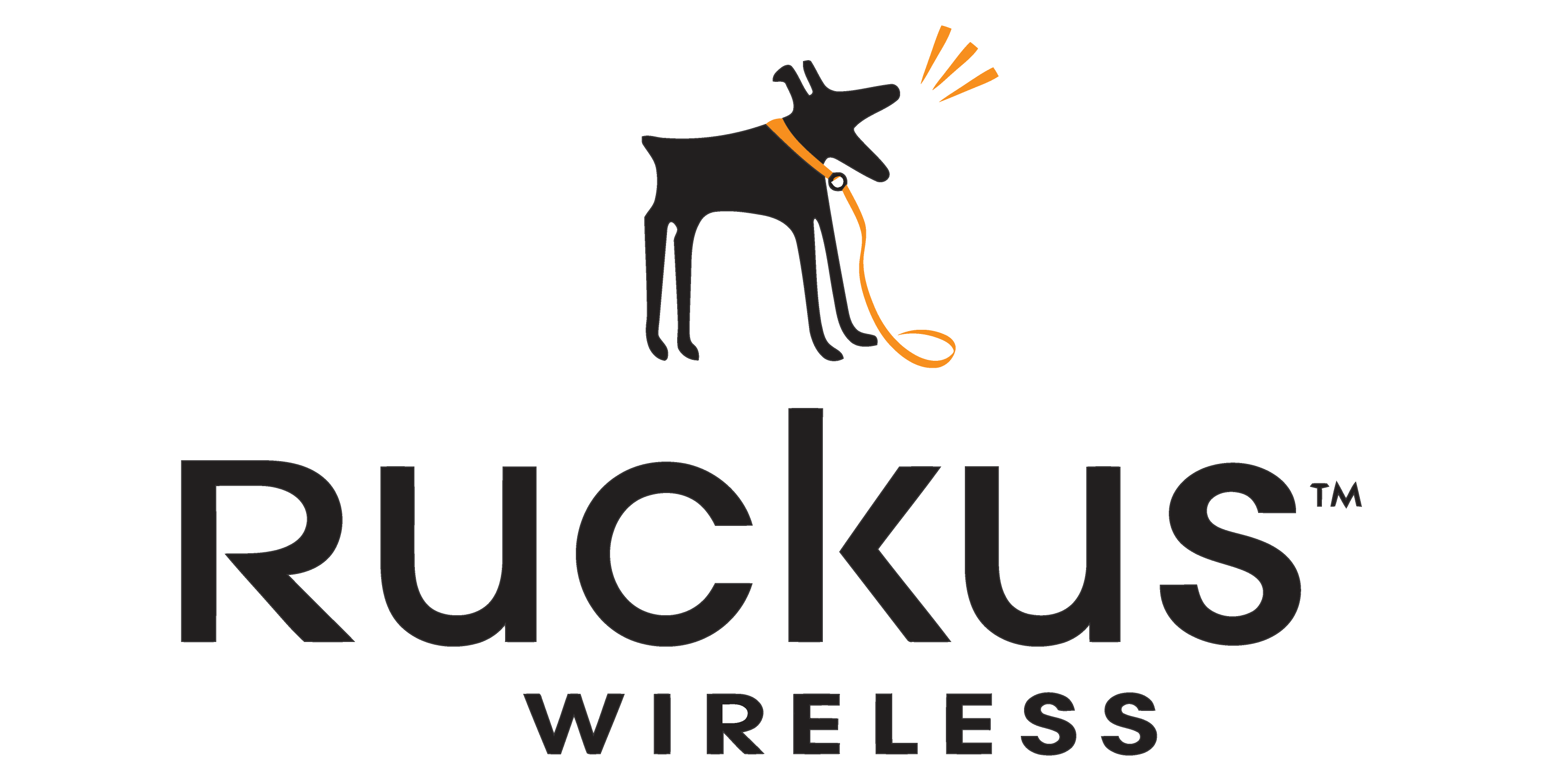 Ruckus Wireless