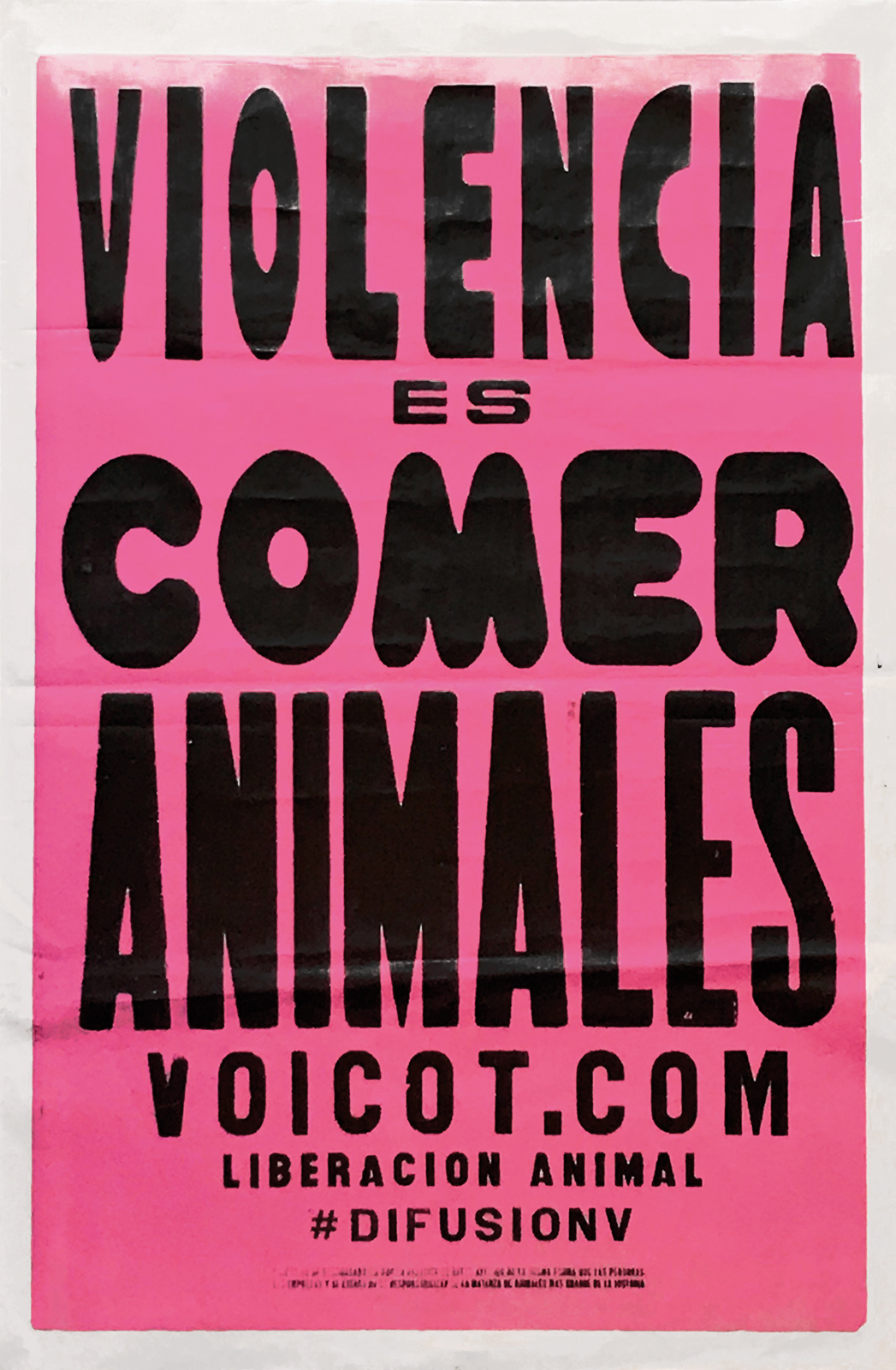 Repensando el consumo de animales para prevenir la siguiente pandemia global