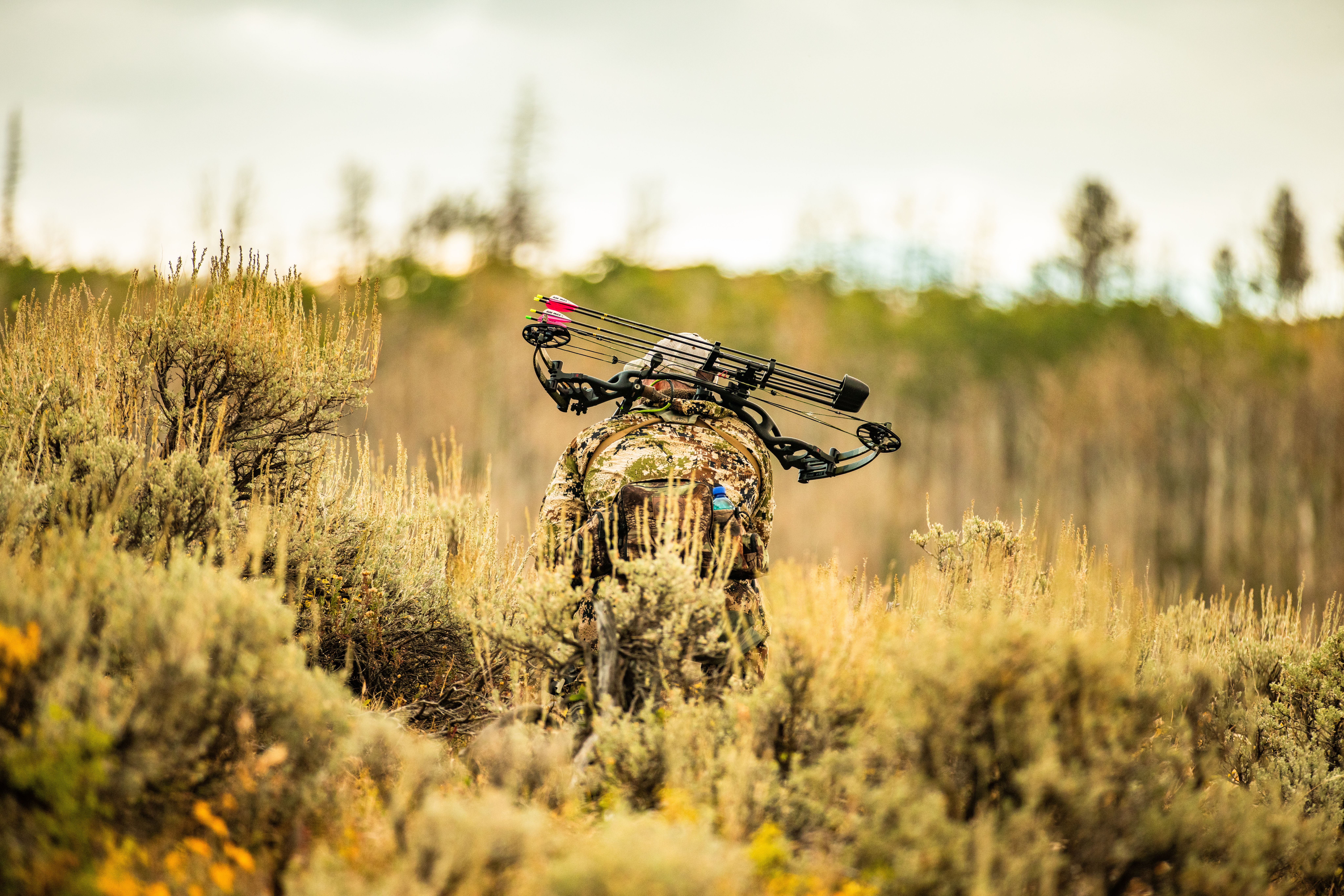 A northern pike is caught while fishing from a boat on a scenic lake with mountains in the background.