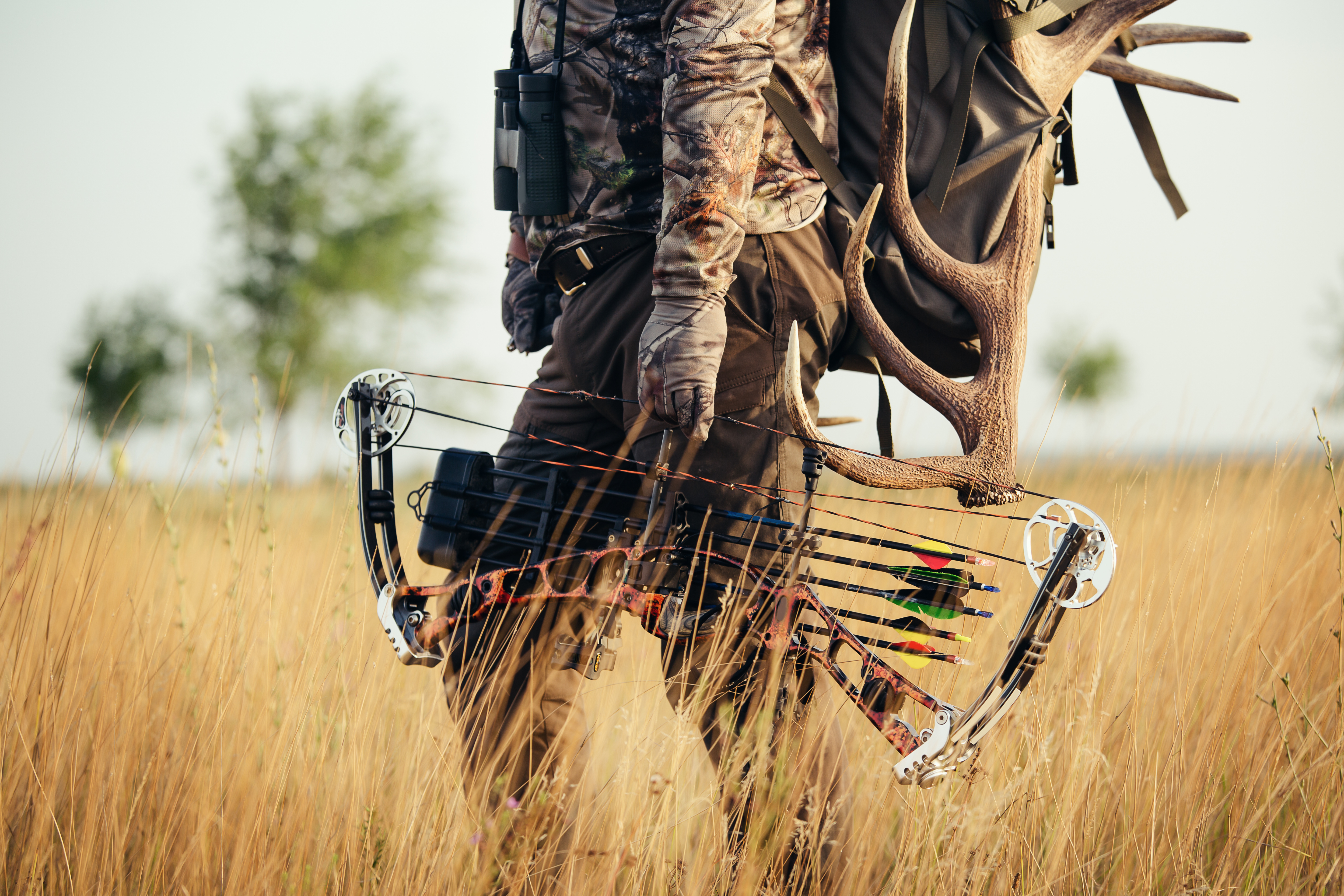 A bowhunter with harvested game and bow in a grassy field