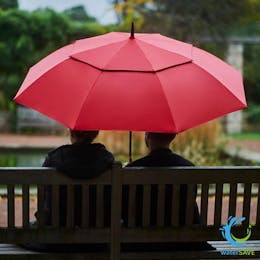 parapluies 