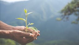 Goodies écologiques