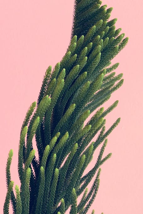 Our Expertise In The Agency Area Ruess Group Our Expertise In The Agency Area Ruess Group