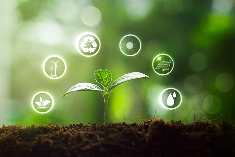 Sustainable marketing