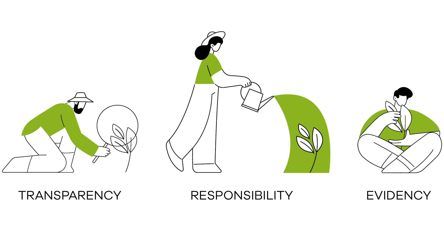 Drawn graphic on the topic of sustainability reportig, with the three focal points transparency, responsibility and evidence.