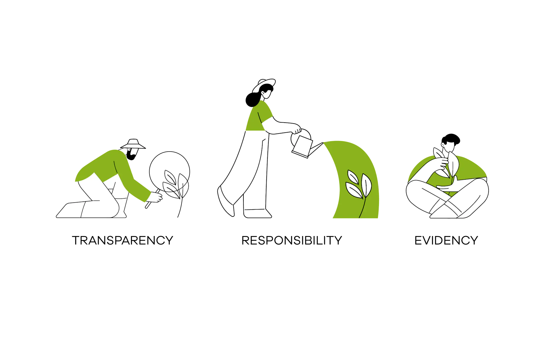 transpareny, responsibility, evidency