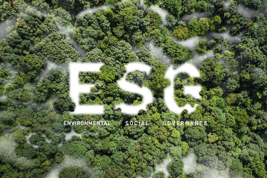 Drone image of a forest as a top shot. The letters ESG (Environmental, Social, Governance) are graphically inserted in the form of clouds of mist.