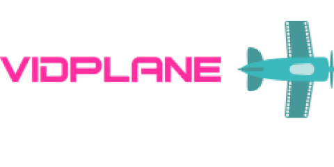 In the picture - Logo VIDPLANE