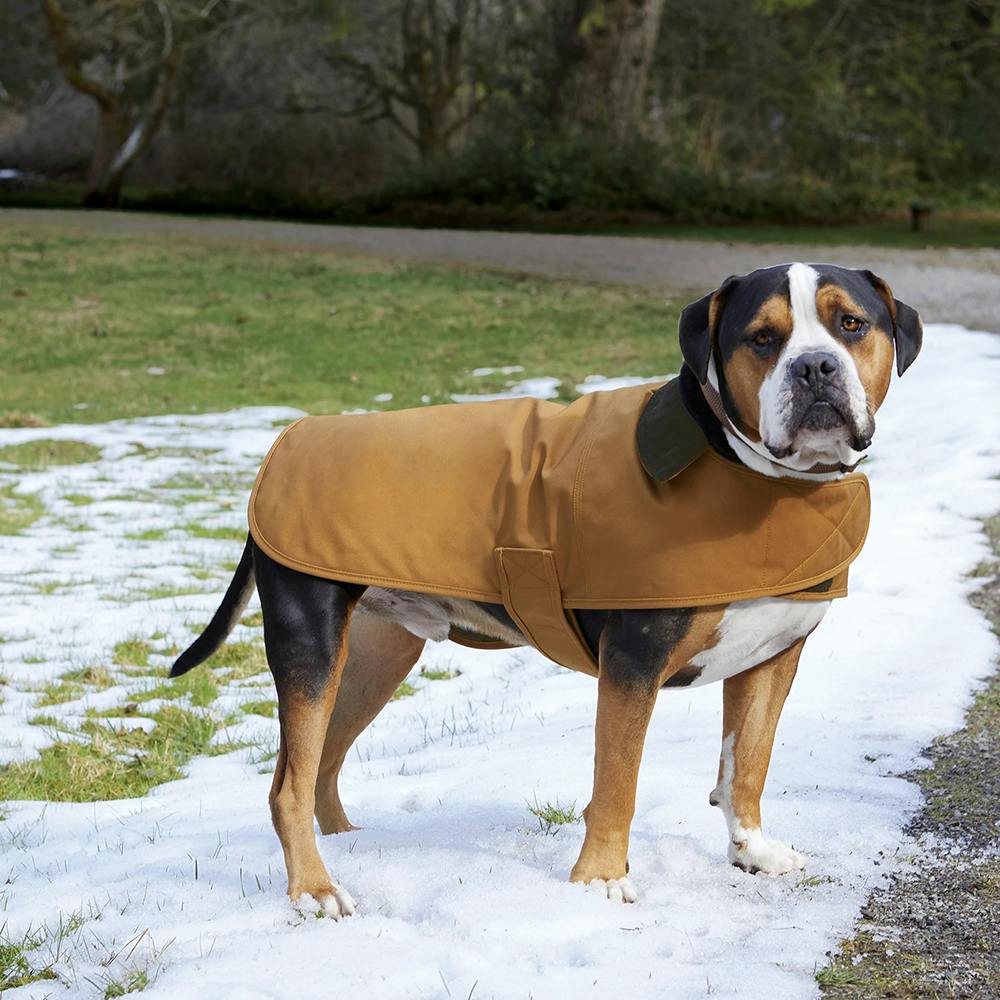 Carhartt Dog Chore Coat - additional Image 1